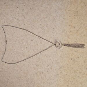 Elegant Silver Tassel Necklace